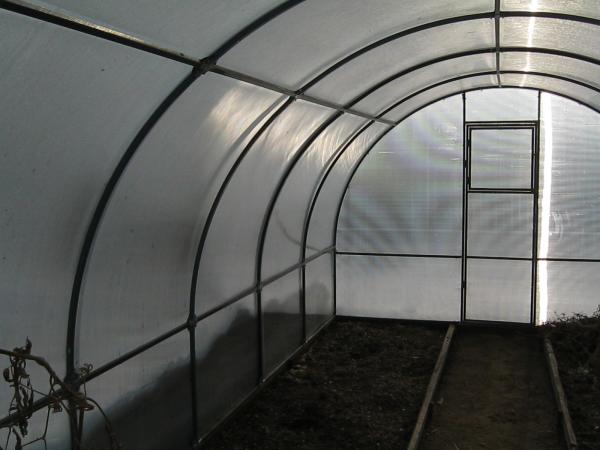 Теплицы в Абакане — фото 2